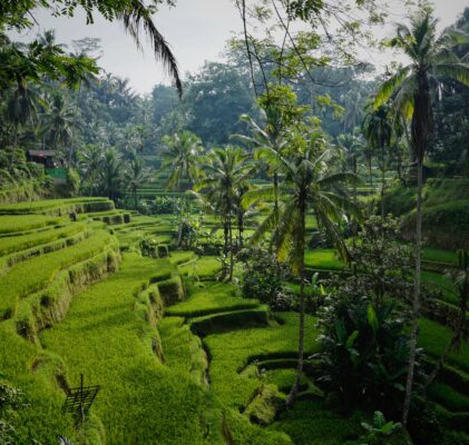 Migliori itinerari per scoprire Bali
